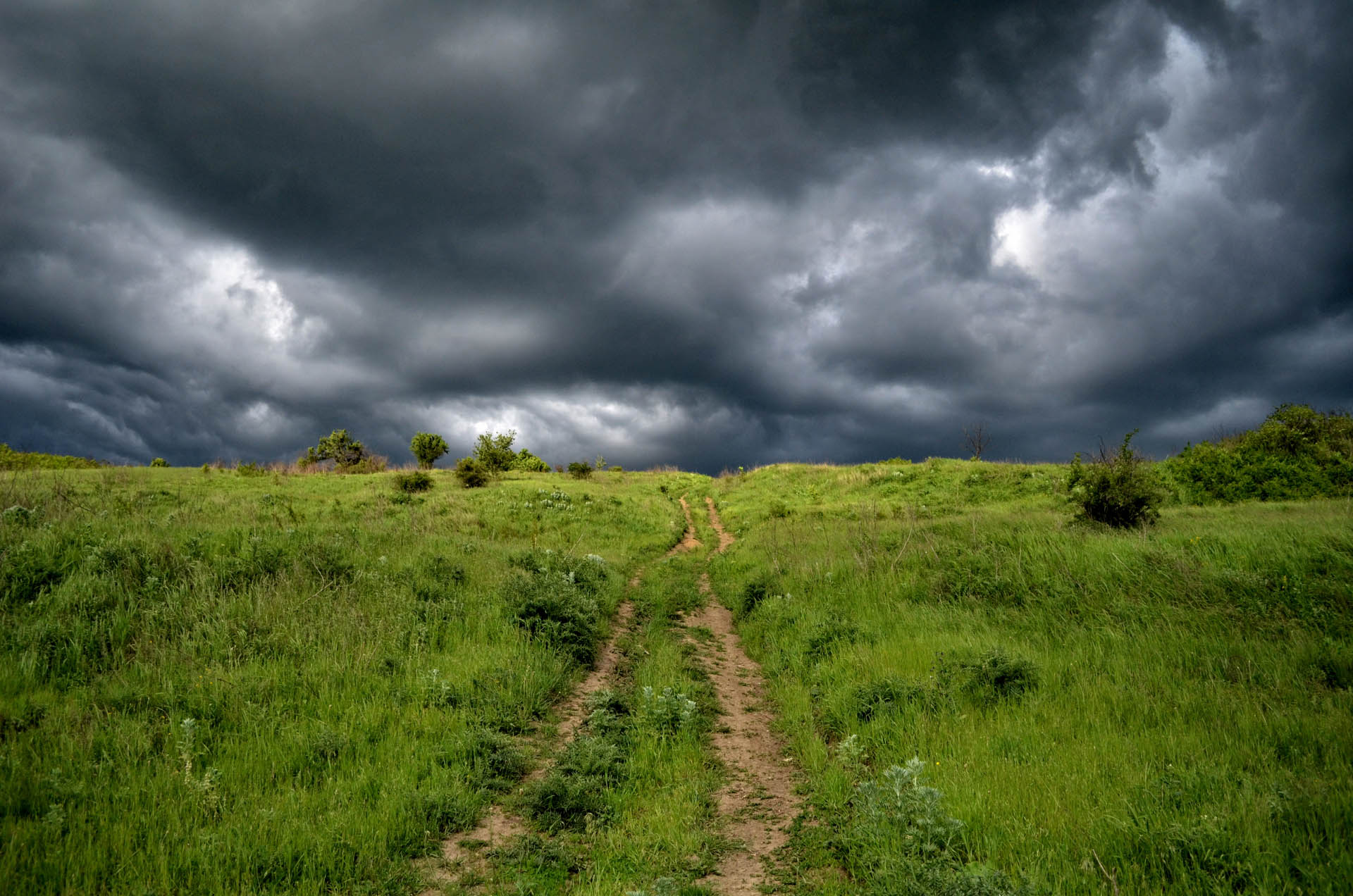 difficoltà relazionali, sofferenza sentimentale, famiglia, lavoro, ansia, panico, fobie, dipendenze, disturbi alimentari, sintomi psicosomatici